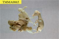 藏品(山羌)的圖片